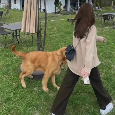 黑猴